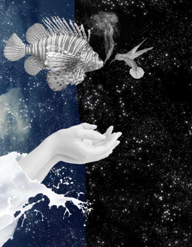 ... ����� ������� ��������� �� PhotoGeek.ru #������