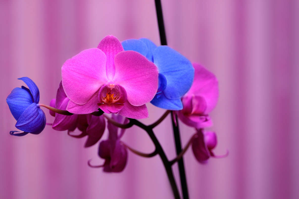 ... ����� ������� ��������� �� PhotoGeek.ru #���������