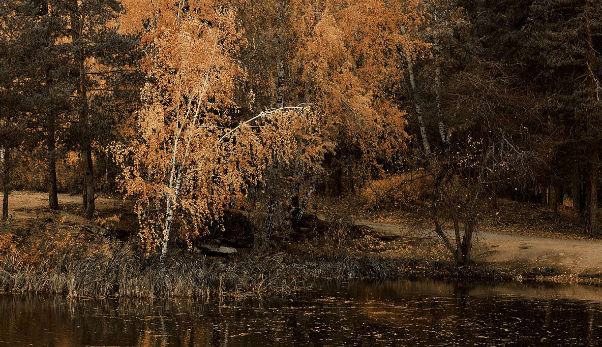 ... ����� ������� ��������� �� PhotoGeek.ru #������ ��� �������