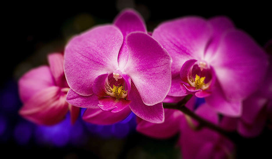 ... ����� ������� ��������� �� PhotoGeek.ru #��������� #�������������