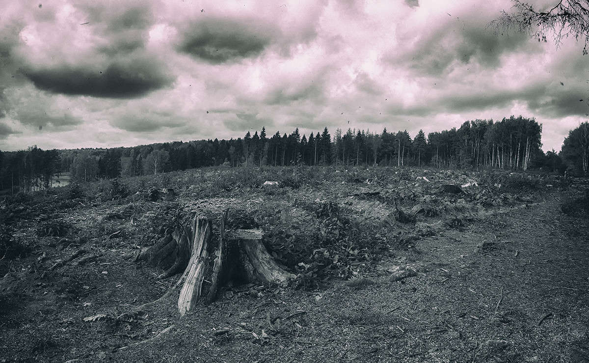 *** ����� ��������� �� �� PhotoGeek.ru #������ ��� ������� #����� �������������� #��������� #������ #����� �������� #�����-�����