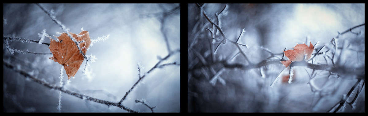 *** ����� ��������� �� �� PhotoGeek.ru #����� #������ ��� ������� #����� �������������� #��������� #����� ��������