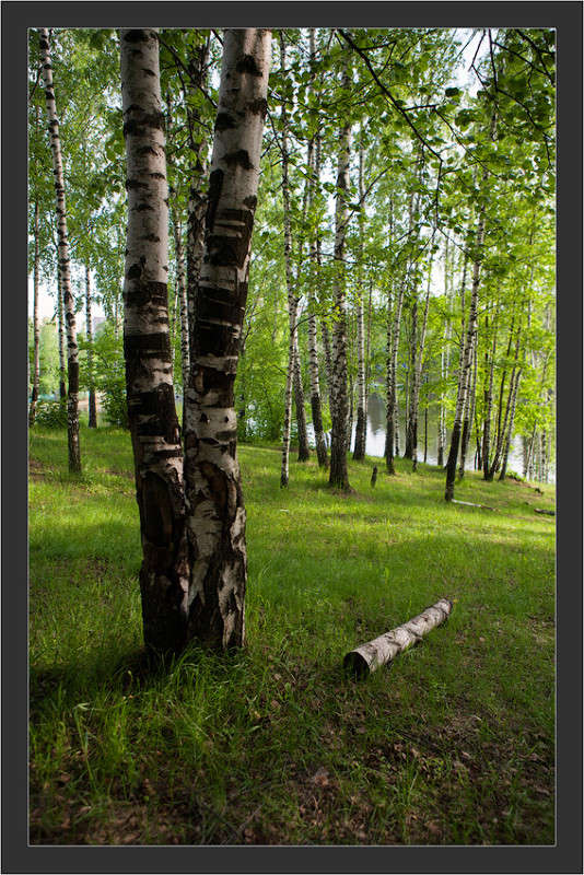 ... ����� ��������� �� �� PhotoGeek.ru #������ ��� ������� #����� �������������� #����� ��������