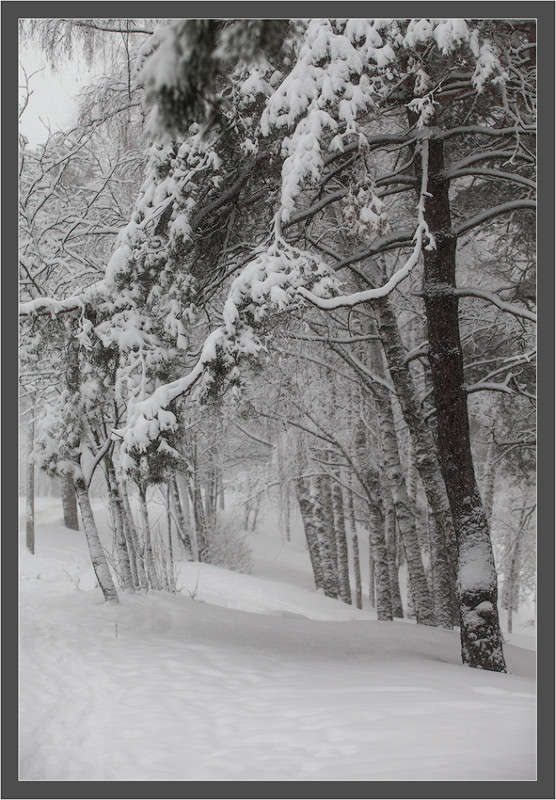 ... ����� ��������� �� �� PhotoGeek.ru #������ ��� ������� #����� �������������� #��������� #����� ��������