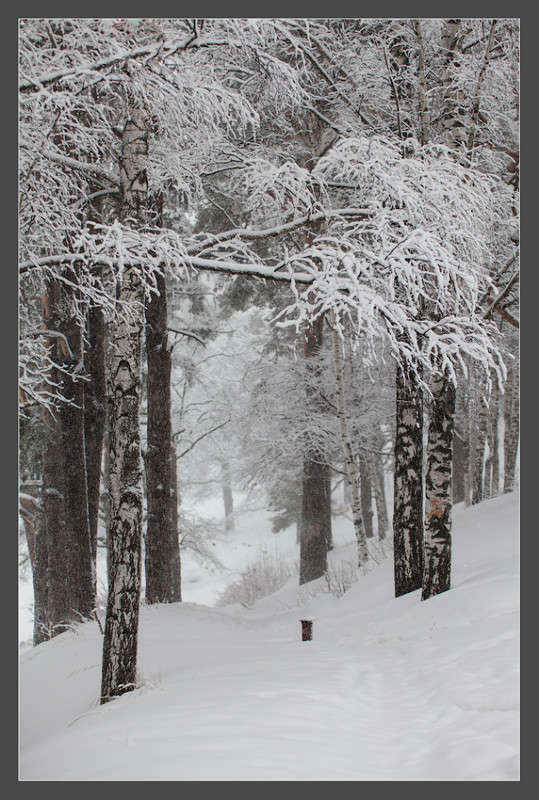 ... ����� ��������� �� �� PhotoGeek.ru #������ ��� ������� #����� �������������� #����� ��������