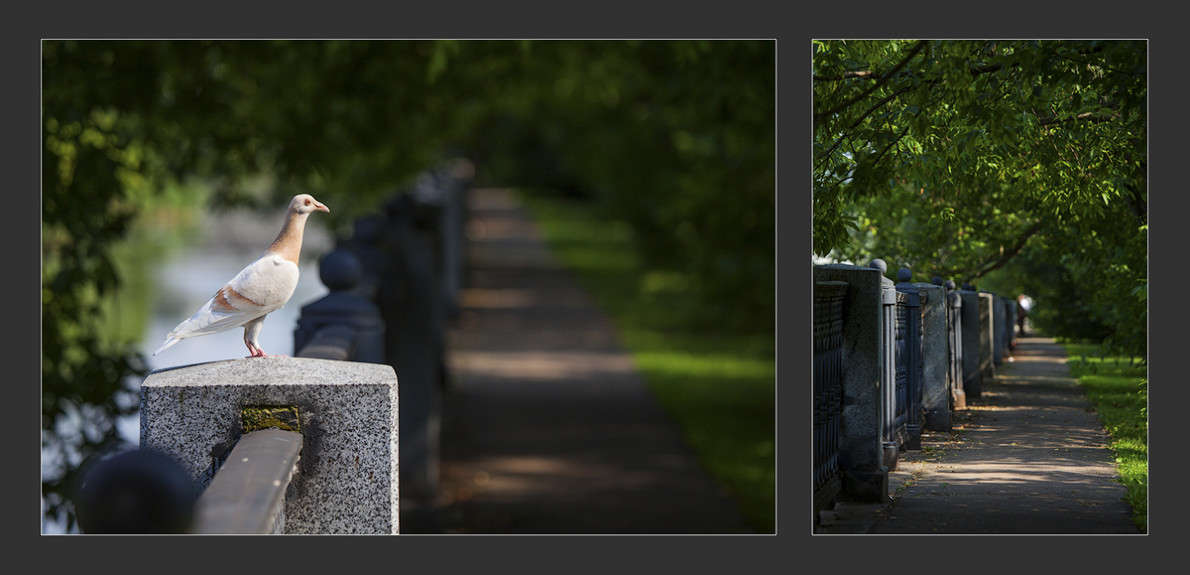 ... ����� ��������� �� �� PhotoGeek.ru #����� #�������� ��� #������ ��� ������� #�������� ���������� #��������� #��������������� #�����-����