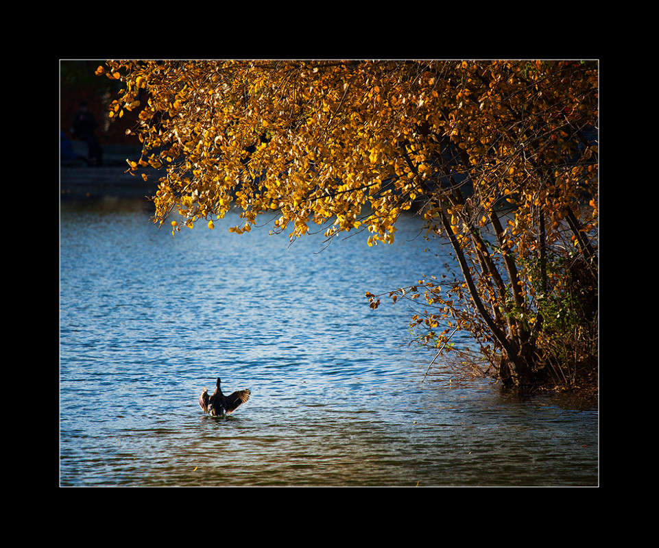 ... ����� ��������� �� �� PhotoGeek.ru #�������� ��� #������ ��� ������� #�������� ���������� #��������������� #�����-����