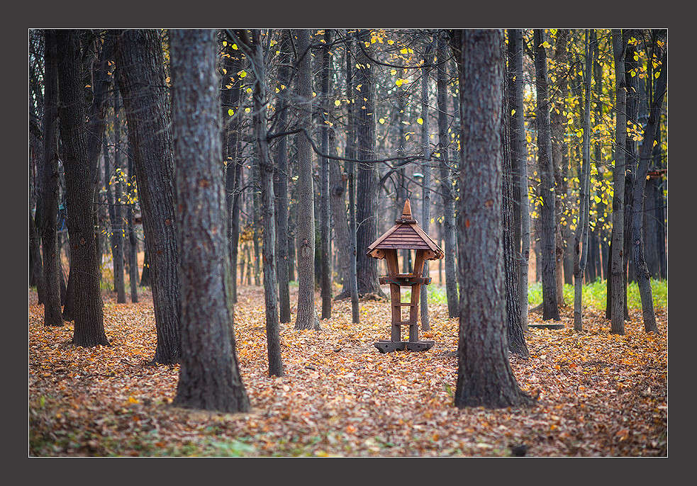 ... ����� ��������� �� �� PhotoGeek.ru #������ ��� ������� #����� �������������� #��������� #����� ��������