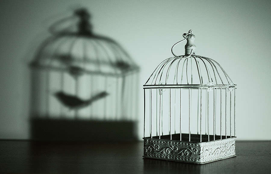 ... ����� ��������� �� �� PhotoGeek.ru #��������� #���-����������� #������������� #������������