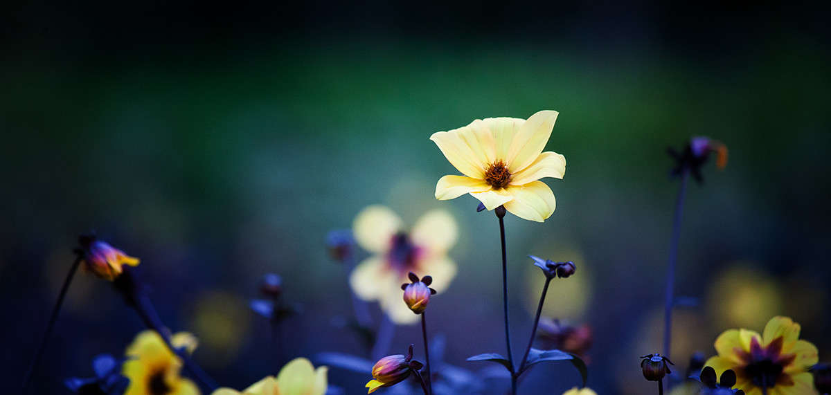 *** ����� ��������� �� �� PhotoGeek.ru #����� #����� ��������������