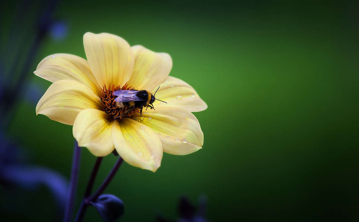 *** ����� ��������� �� �� PhotoGeek.ru #����� #����� �������������� #���������