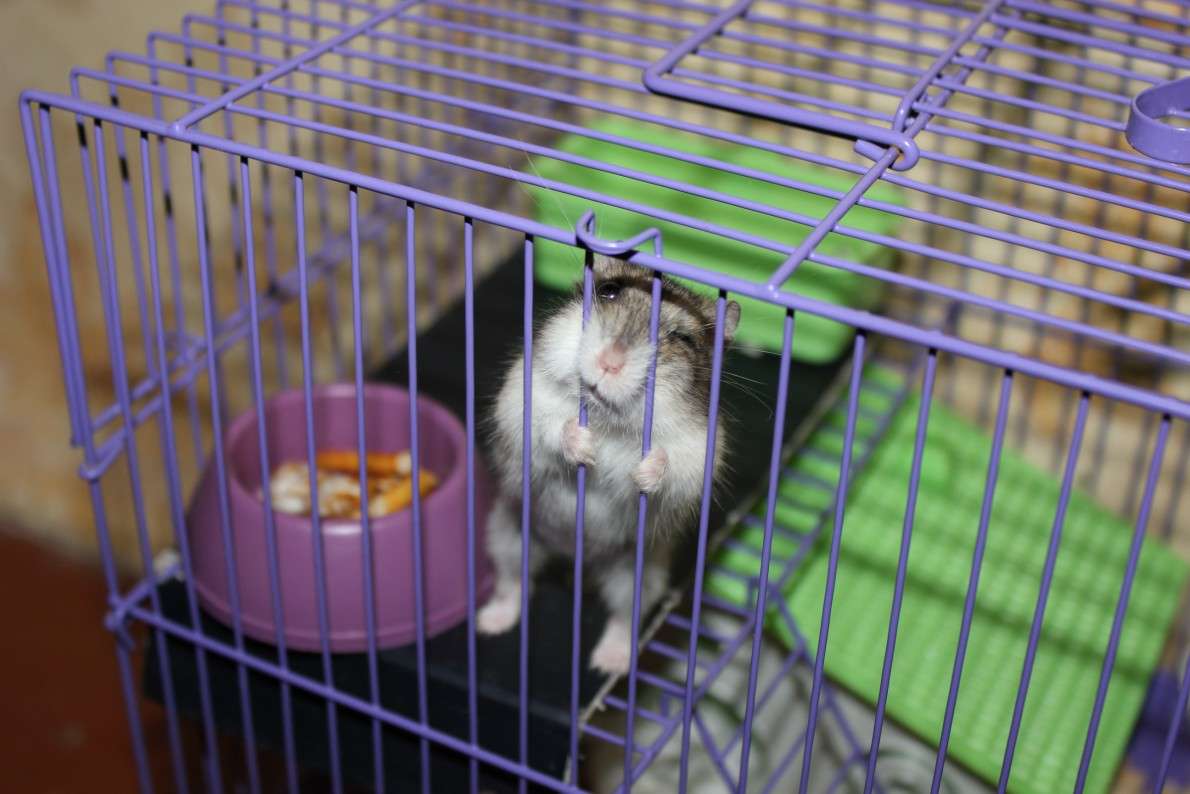 ���������! ����� ����  �� PhotoGeek.ru #�������� ��� #�������� ���