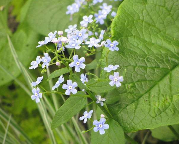 ... ����� �����  �� PhotoGeek.ru #������ ��� ������� #����� ��������������