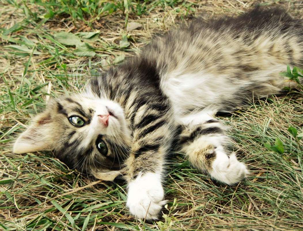 ... ����� �����  �� PhotoGeek.ru #�������� ���