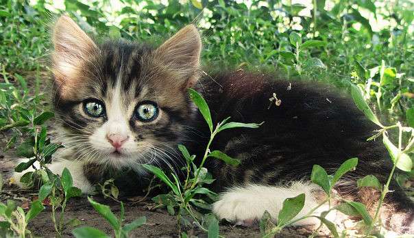 ... ����� �����  �� PhotoGeek.ru #�������� ���