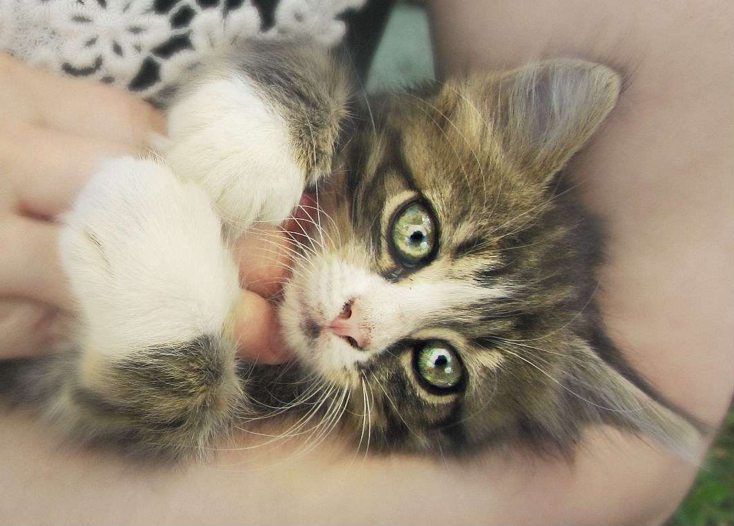 ... ����� �����  �� PhotoGeek.ru #�������� ���