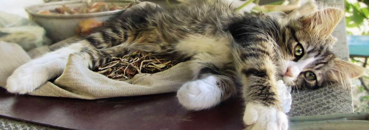 �� ���� ;) ����� �����  �� PhotoGeek.ru #�������� ���