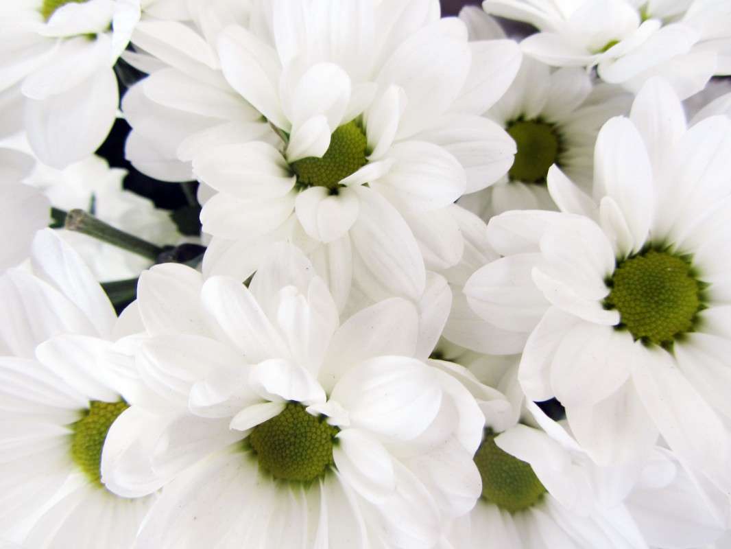 ... ����� �����  �� PhotoGeek.ru #������ ��� �������