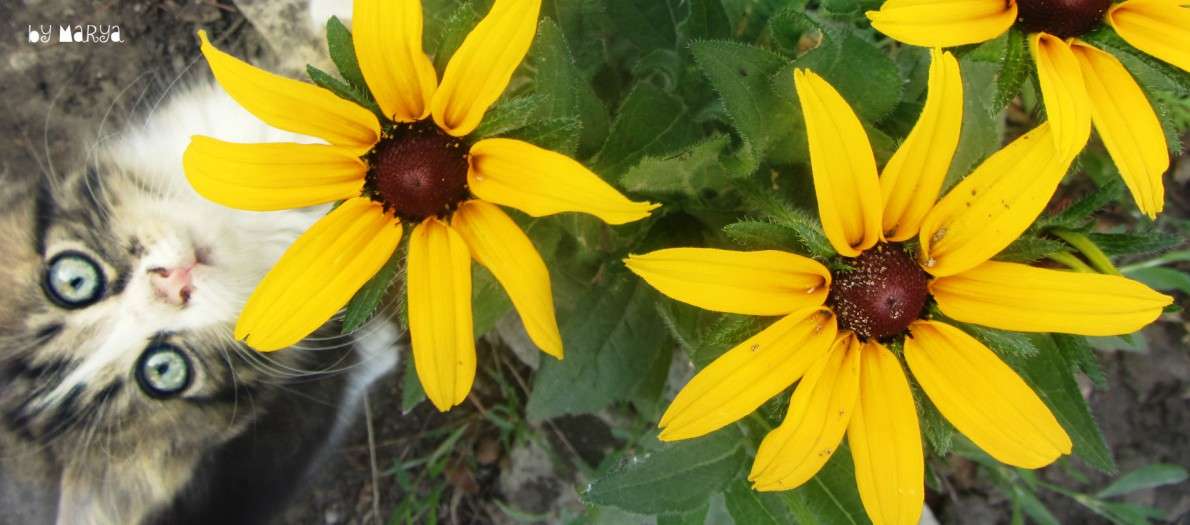 ... ����� �����  �� PhotoGeek.ru #�������� ���