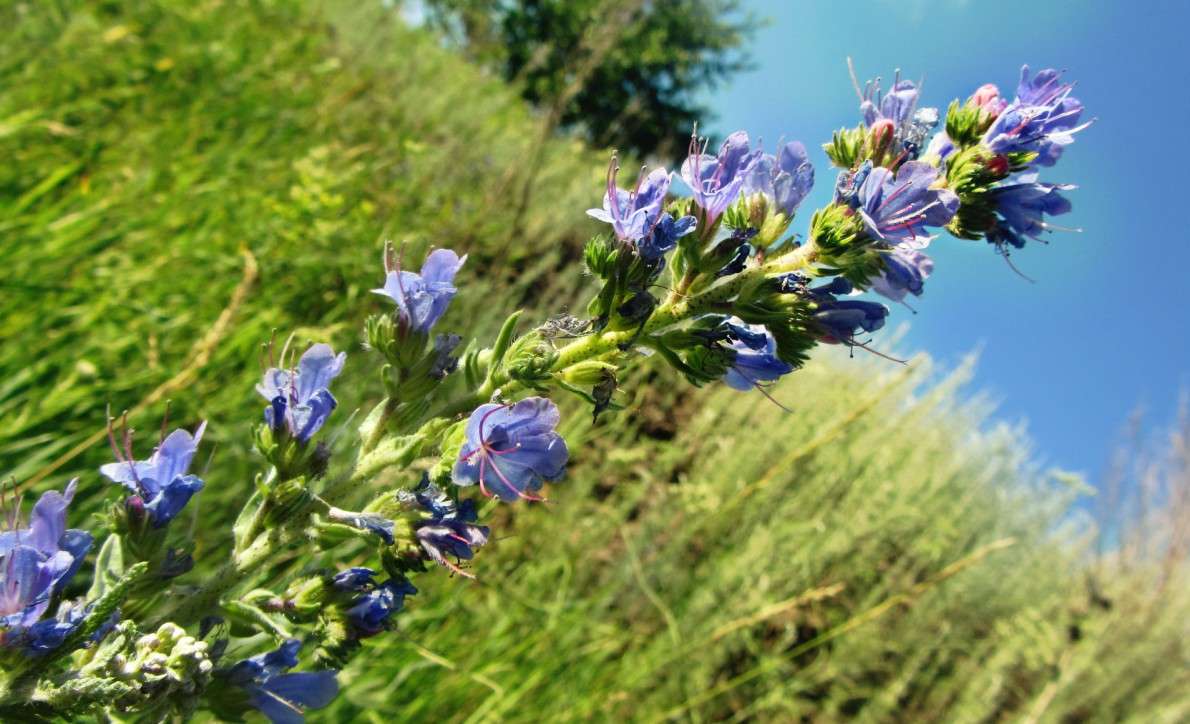 ... ����� �����  �� PhotoGeek.ru #������ ��� �������