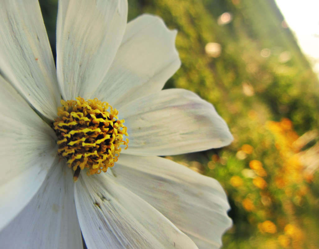 ... ����� �����  �� PhotoGeek.ru #����� #����� ��������������