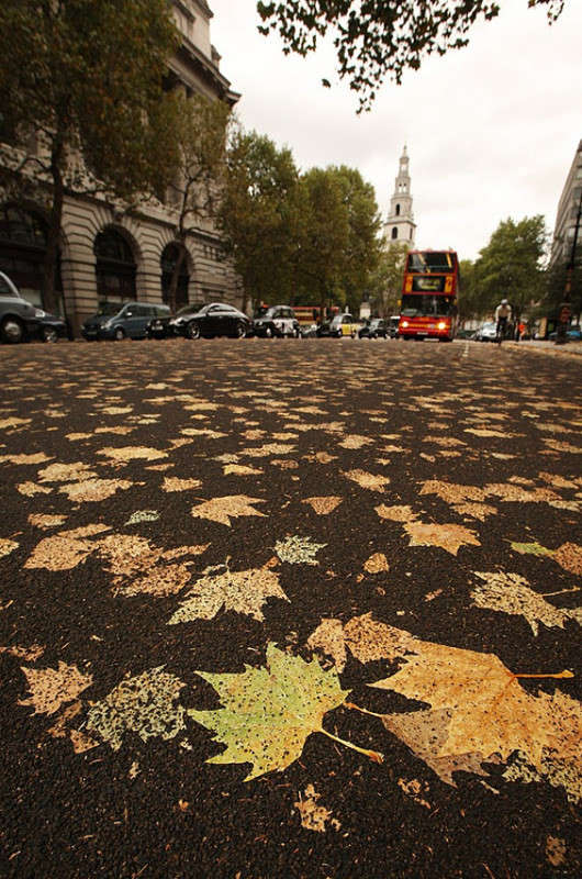 ... ����� Vika  �� PhotoGeek.ru #�����