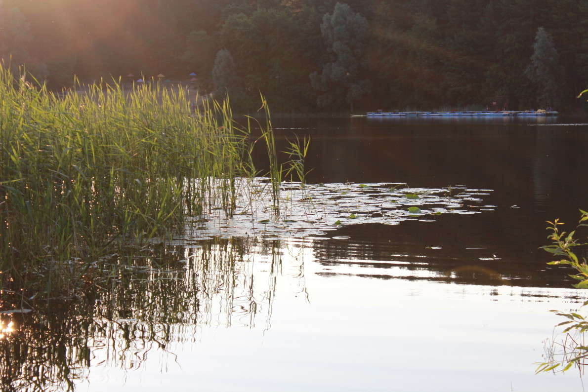 ����� ����� ����� ��������� �� PhotoGeek.ru #������ ��� �������