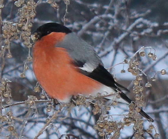 � ����� ����� ��������� �� PhotoGeek.ru #�������� ��� #������ ��� �������