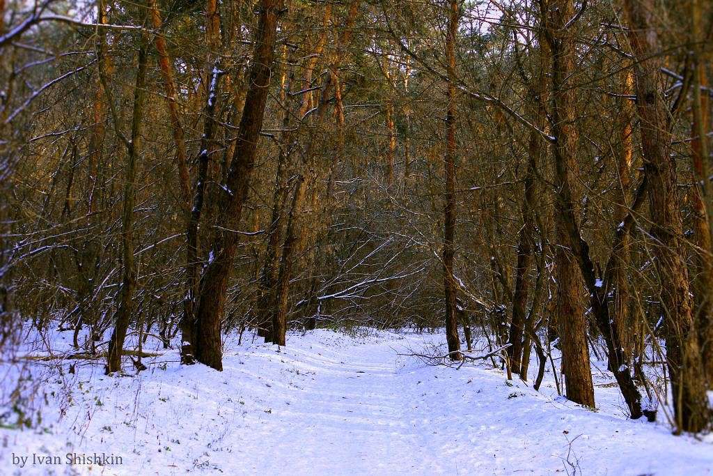 ��� ����� Ivan  �� PhotoGeek.ru #������ ��� �������