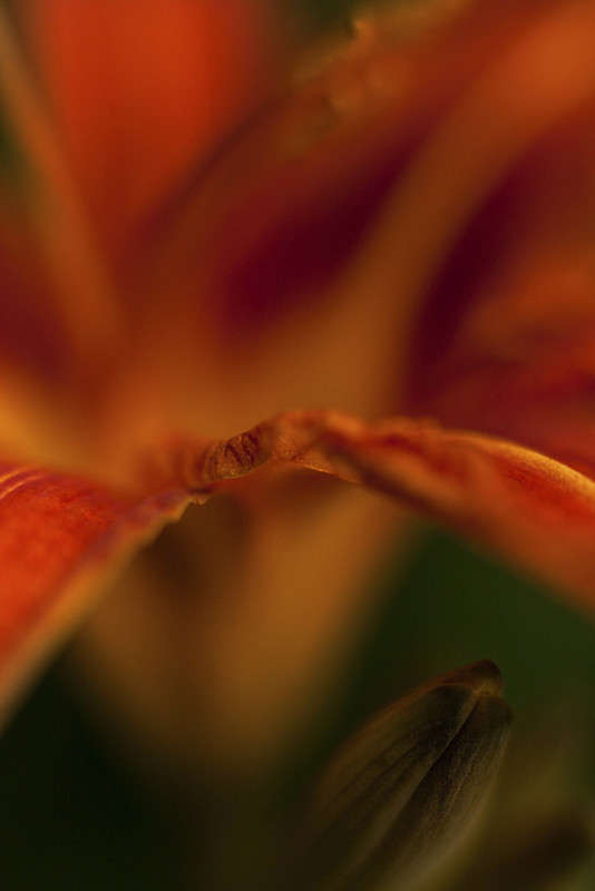 ���������.. ����� ����� �. �� PhotoGeek.ru #������ ��� ������� #����� ��������������