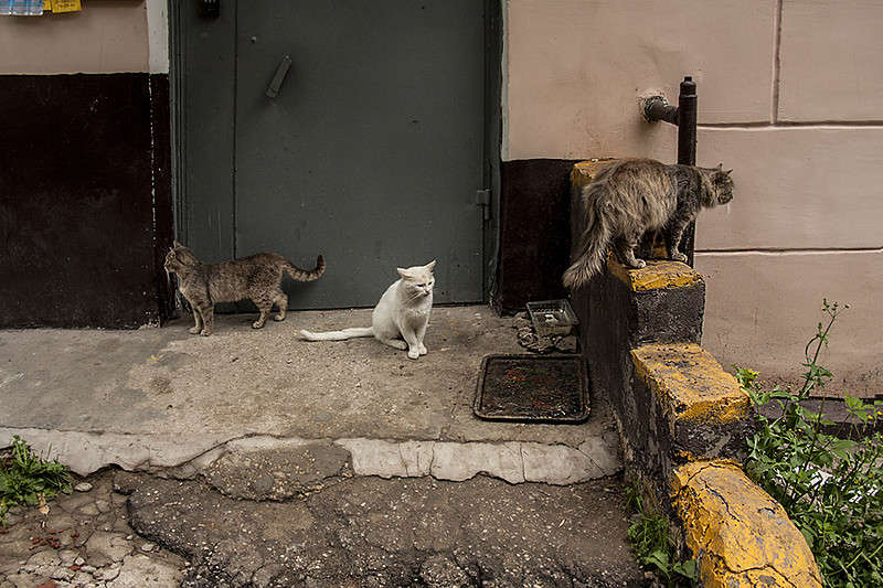 �� ��� ������..(3) ����� ����� �. �� PhotoGeek.ru #����� #��������� ������