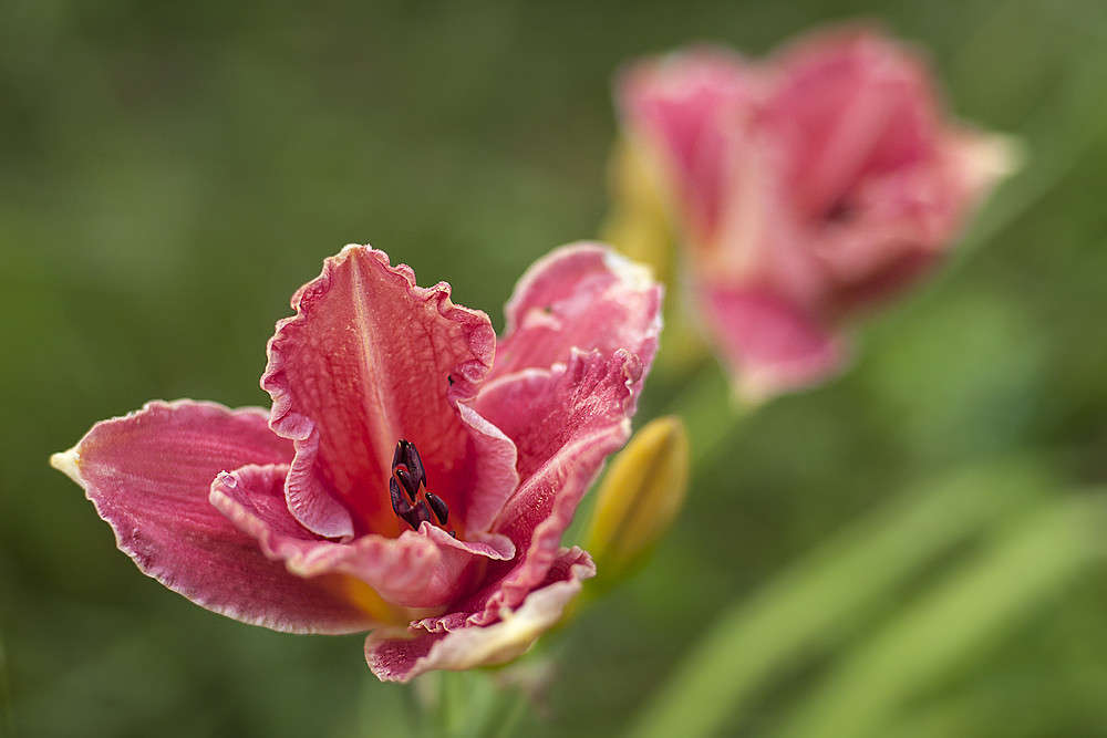 ** ����� ����� �. �� PhotoGeek.ru #������ ��� ������� #����� ��������������