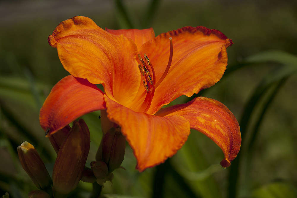 ��������.. ����� ����� �. �� PhotoGeek.ru #������ ��� ������� #����� ��������������