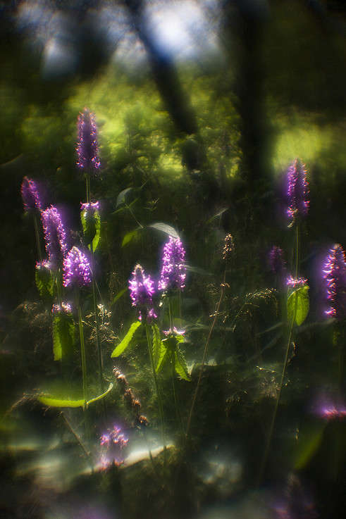 � ����.. ����� ����� �. �� PhotoGeek.ru #������ ��� ������� #����� ��������������