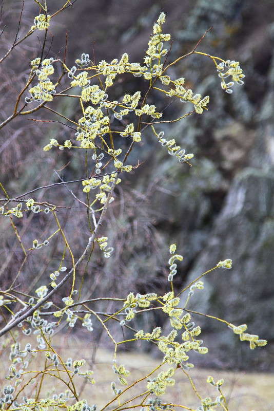 �������......!!! ����� ���� ���������� �� PhotoGeek.ru #������ ��� ������� #����� ��������������