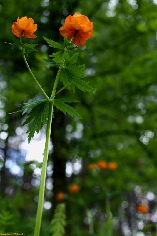 ������� � ����... ����� ���� ���������� �� PhotoGeek.ru #������ ��� ������� #����� ��������������