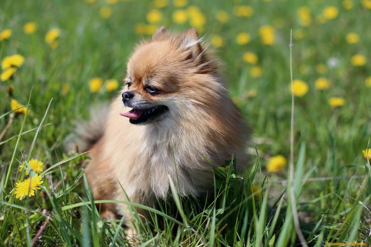 �������� �������...))) ����� ���� ���������� �� PhotoGeek.ru #�������� ��� #������ ��� ������� #���������