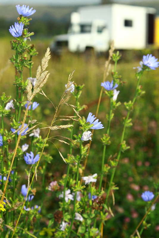 ������� ����� �� ����... ����� ���� ���������� �� PhotoGeek.ru #������ ��� ������� #�������� ���������� #����� �������������� #���������������