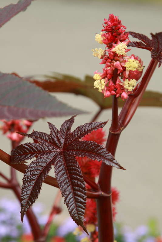 ��������� �����. ����� ���� ���������� �� PhotoGeek.ru #����� #������ ��� ������� #��������� ������ #����� �������������� #����� ��������