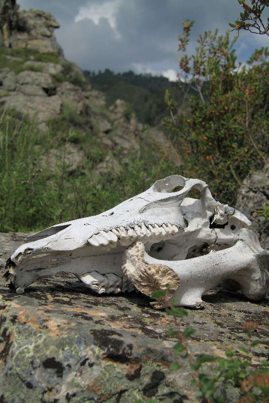 ��������. ����� ���� ���������� �� PhotoGeek.ru #������ ��� ������� #�������� ����������