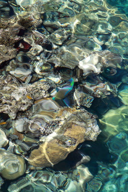 ������� ����. ����� ���� ���������� �� PhotoGeek.ru #������ ��� �������