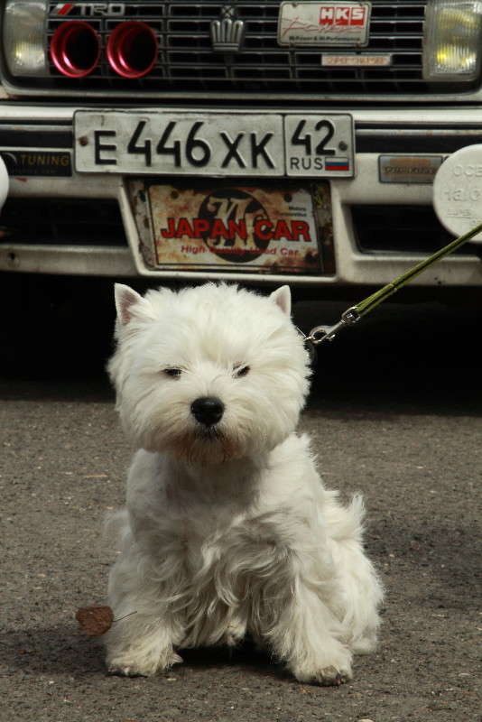 ������ 42!!!! ����� ���� ���������� �� PhotoGeek.ru #�������� ���������� #���������������