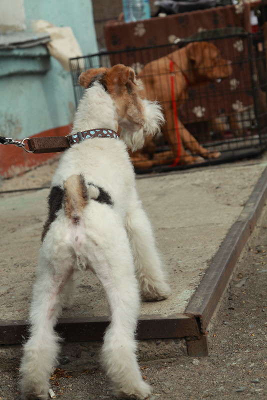 �����...�� ���....?? ����� ���� ���������� �� PhotoGeek.ru #�������� ���������� #�������� #���������������