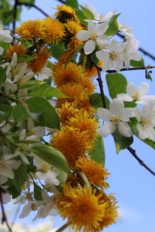 ����...����������!!! ����� ���� ���������� �� PhotoGeek.ru #������ ��� ������� #�������� ���������� #����� �������������� #���������������