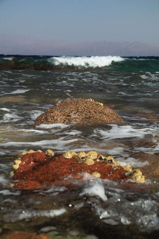 ������ ��������!! ����� ���� ���������� �� PhotoGeek.ru #������ ��� �������