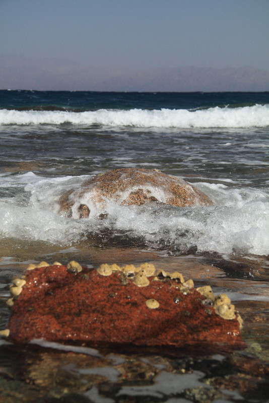 ������ �������� (2), ���������!! ����� ���� ���������� �� PhotoGeek.ru #������ ��� �������