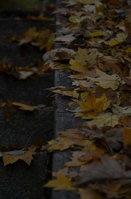 ���������� ����� ����  �� PhotoGeek.ru #������ ��� �������