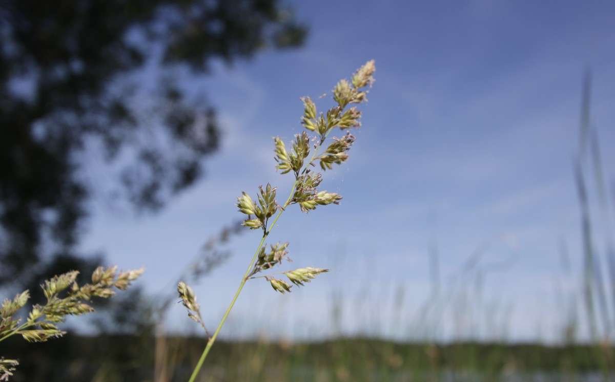 ... ����� ���������  �� PhotoGeek.ru #������ ��� ������� #����� ��������