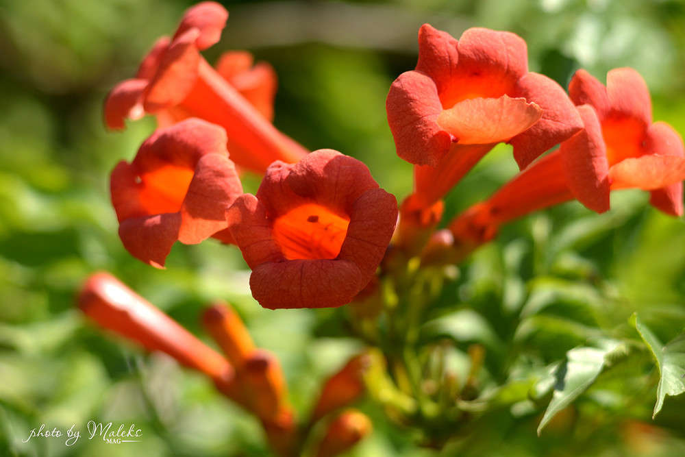 ��������� ������� ����� ���������  �� PhotoGeek.ru #������ ��� ������� #����� ��������������