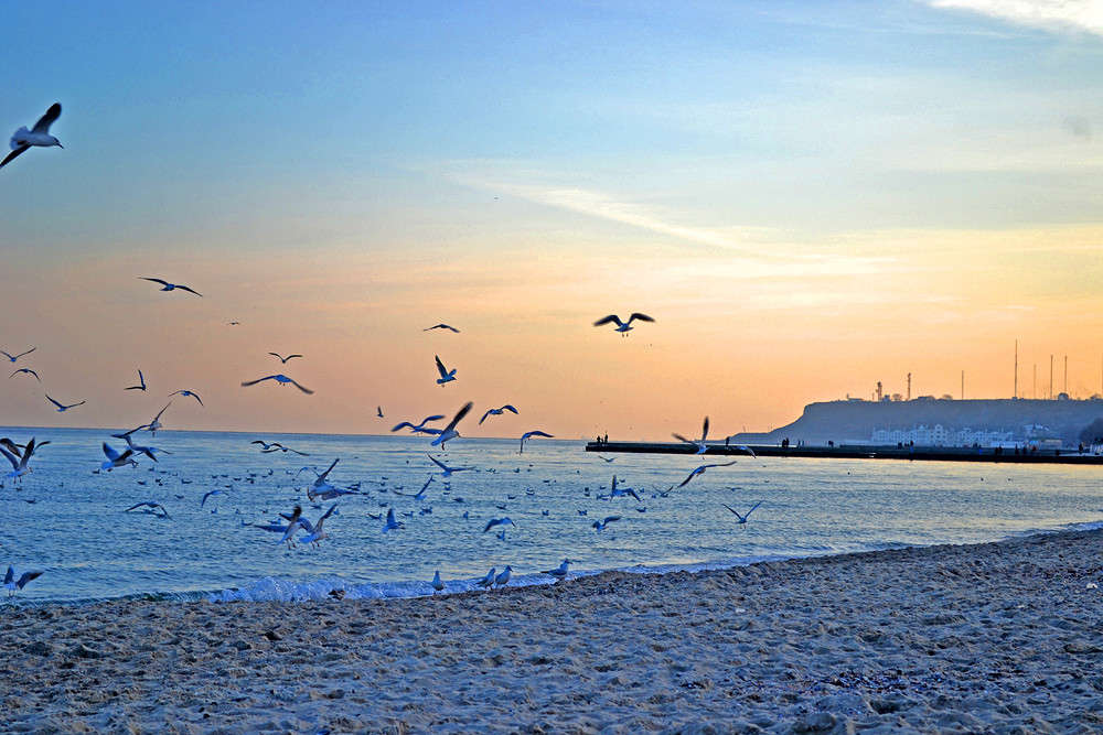 �������� ����� ���������  �� PhotoGeek.ru #������ ��� �������